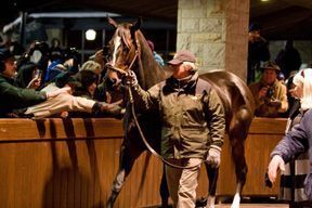 EclipseSports's tweet photo. John Shirreffs was a great trainer and he will always be remembered as the man who trained one of the greatest horses many will ever see, Zenyatta. Shirreffs passed today at the age of 80. Across the years, Shirreffs saddled 596 winners, including @kentuckyderby winner Giacomo. https://t.co/eOxaPatpC3