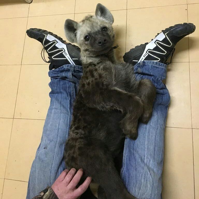 HourlyYeen tweet media