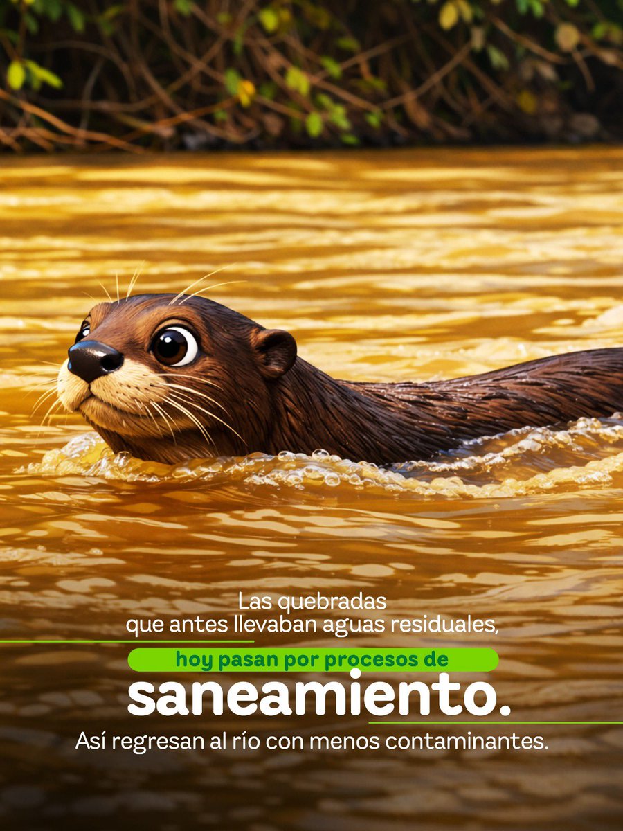 EPM estamos ahí tweet media