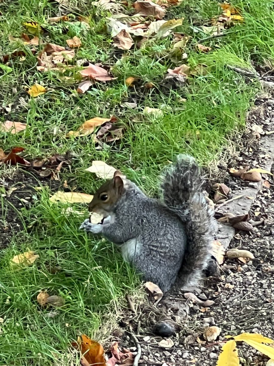 astra01154's tweet photo. Wandering around Regent Park today, first I saw a £50 bill in the grass. https://t.co/Fclk2see5L