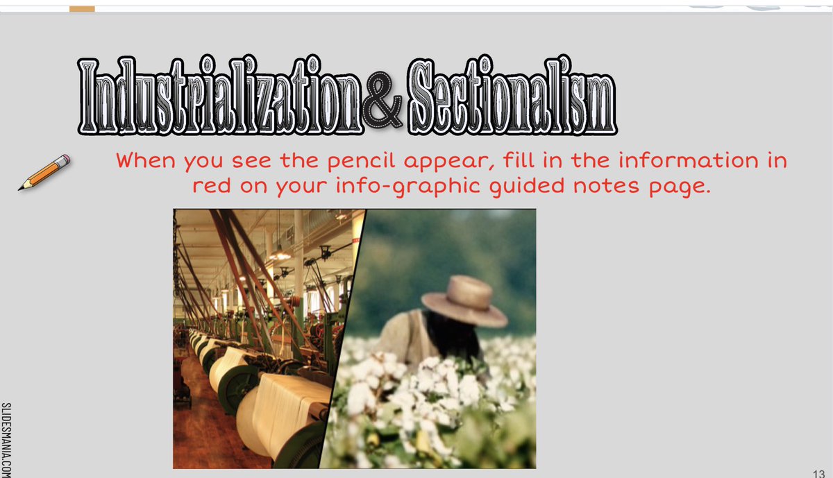 Stephanie Conklin tweet media