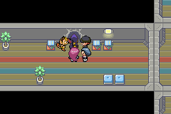 JessieJamesGBA's tweet image. 📜SILPH MISSION 2 - TM Dig

🔴HIGH PRIORITY
📍Location: Cerulean City

➡️Objective: Steal TM28. Use it to break through a wall and access the basement of Silph Co.

⚠️Without this TM, the invasion cannot continue⚠️

🇬🇧 🇺🇸 Coming soon
#Pokemon #Romhack #TeamRocket #GBA