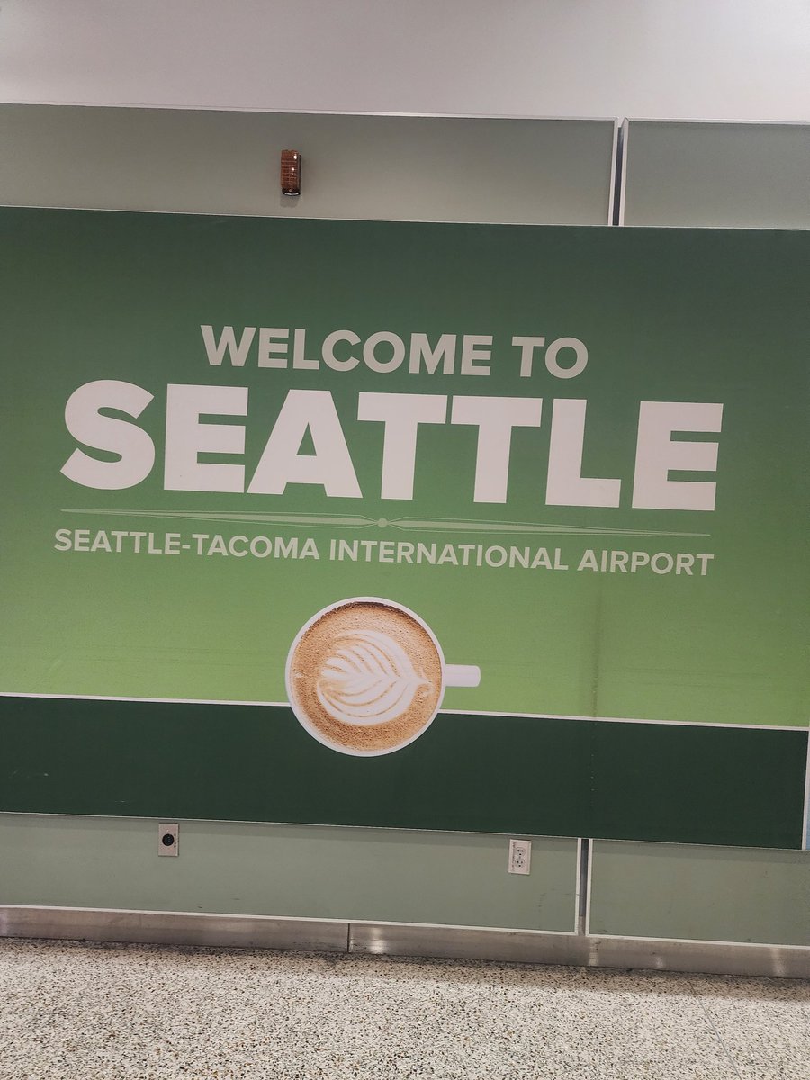 I did in fact arrive 🫳