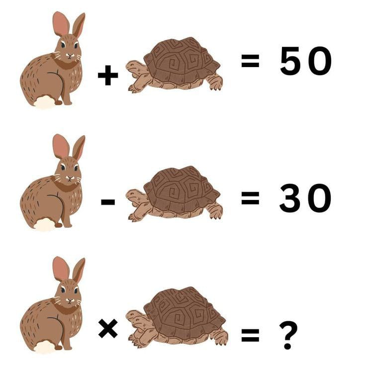 𝘀𝘁𝗲𝘃𝗲 𝗝𝗼𝗵𝗻 🇺🇸 tweet media