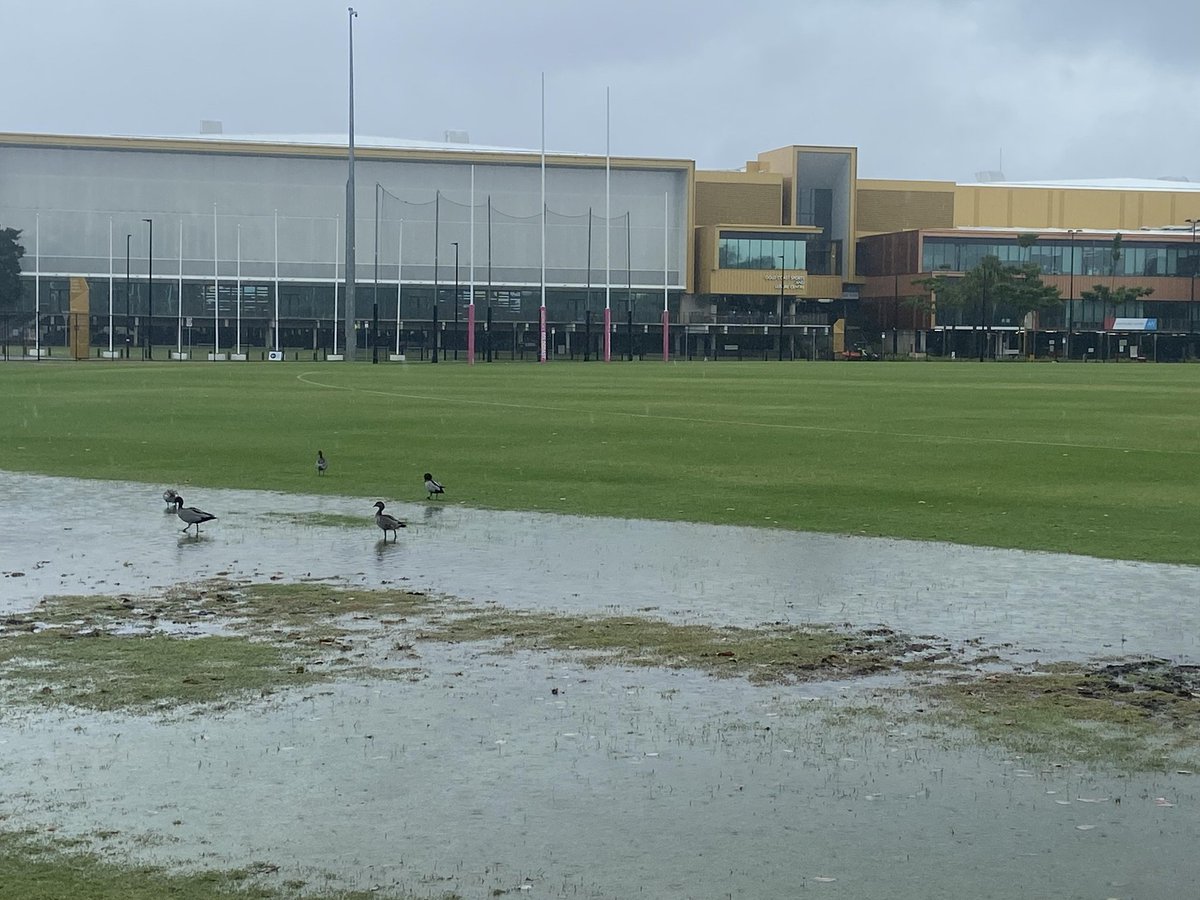 Joshua Hansen tweet media