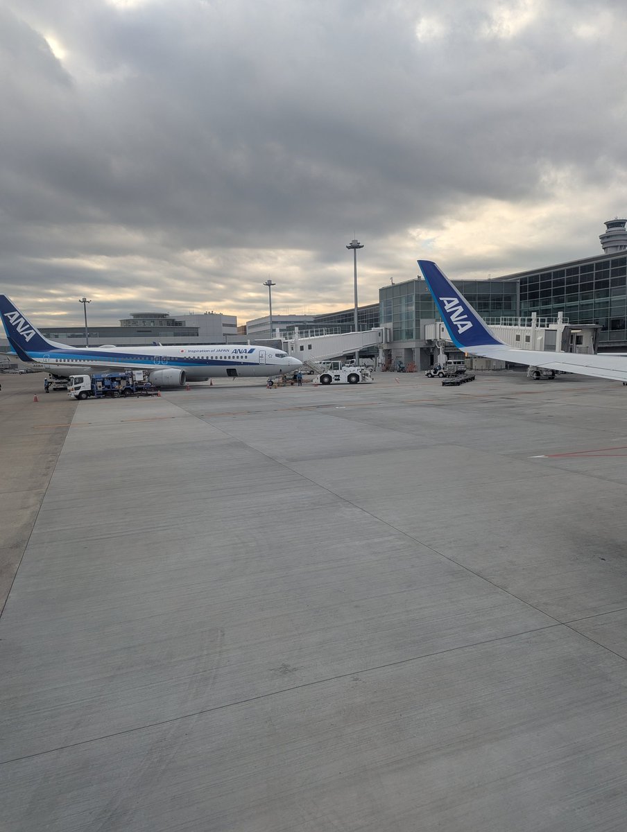 やまちゃん tweet media