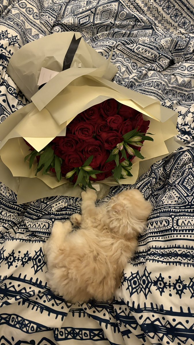 la di die tweet media