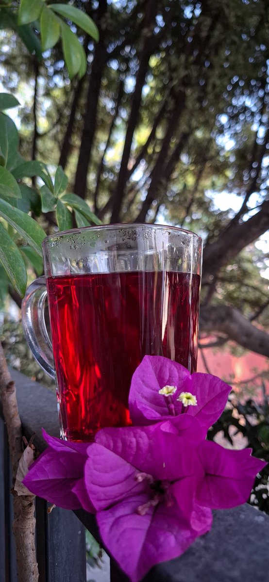 Homemade meds are simply the best