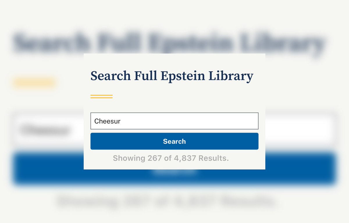 Cheesur Reports tweet media