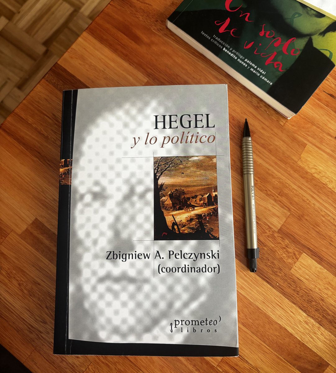 “Una vez que el individuo ha reconocido el alcance total de sus propios intereses, toma conciencia del hecho de que la mejor protección es la que se enmarca en las acciones tomadas por la autoridad del Estado”.