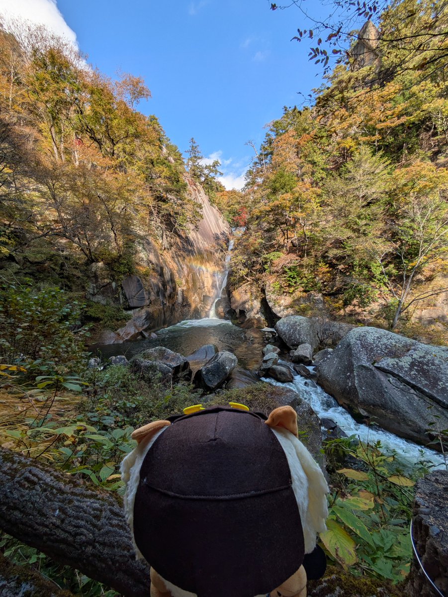 そろそろ菱丸くんの日が制定されても不思議ではないと思っています😊🍇  #山梨県 #マスコットキャラクター #ご当地キャラ #週末 #おでかけ