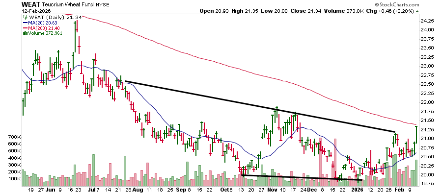 HomeGrown Algo tweet media