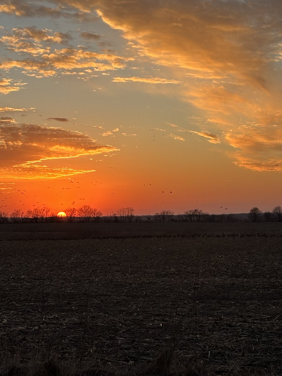 BCase1983's tweet photo. Photo cred: our eldest, Magal. https://t.co/vsd6z2BPhO