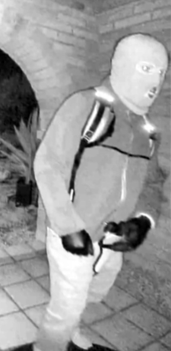 Patriot on X tweet media