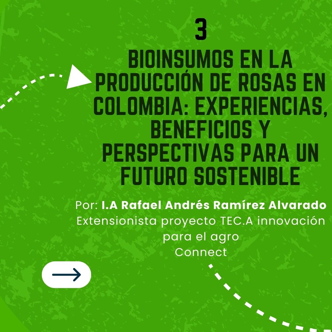 🌹📚 ¿Estás rotando correctamente los mecanismos de acción en rosa?

En este especial reunimos artículos técnicos clave sobre 🔄 rotación y 🛡️ manejo fitosanitario para diseñar programas más eficientes y sostenibles.

Link de la publicación metroflorcolombia.com/proteccion-de-…