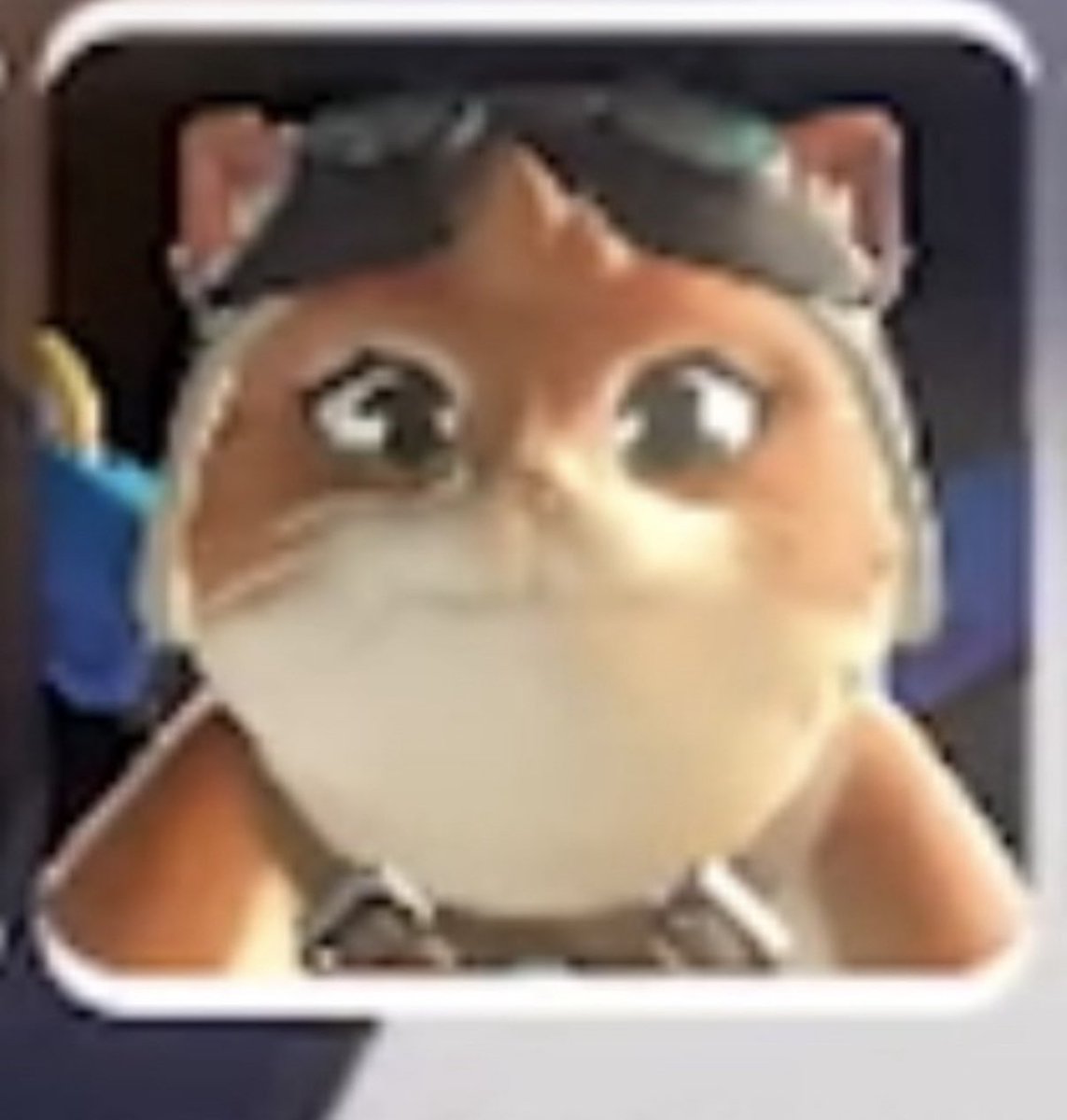 The last thing you see before getting slimed in watchpoint Gibraltar