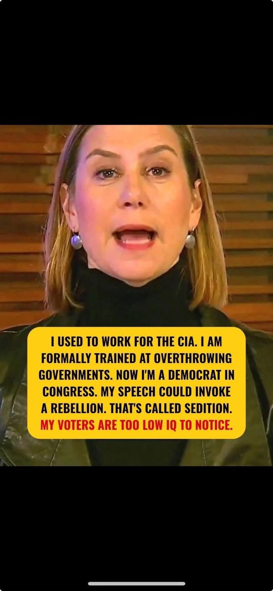 <a href="/SenatorSlotkin/">Sen. Elissa Slotkin</a> Seditionist!
