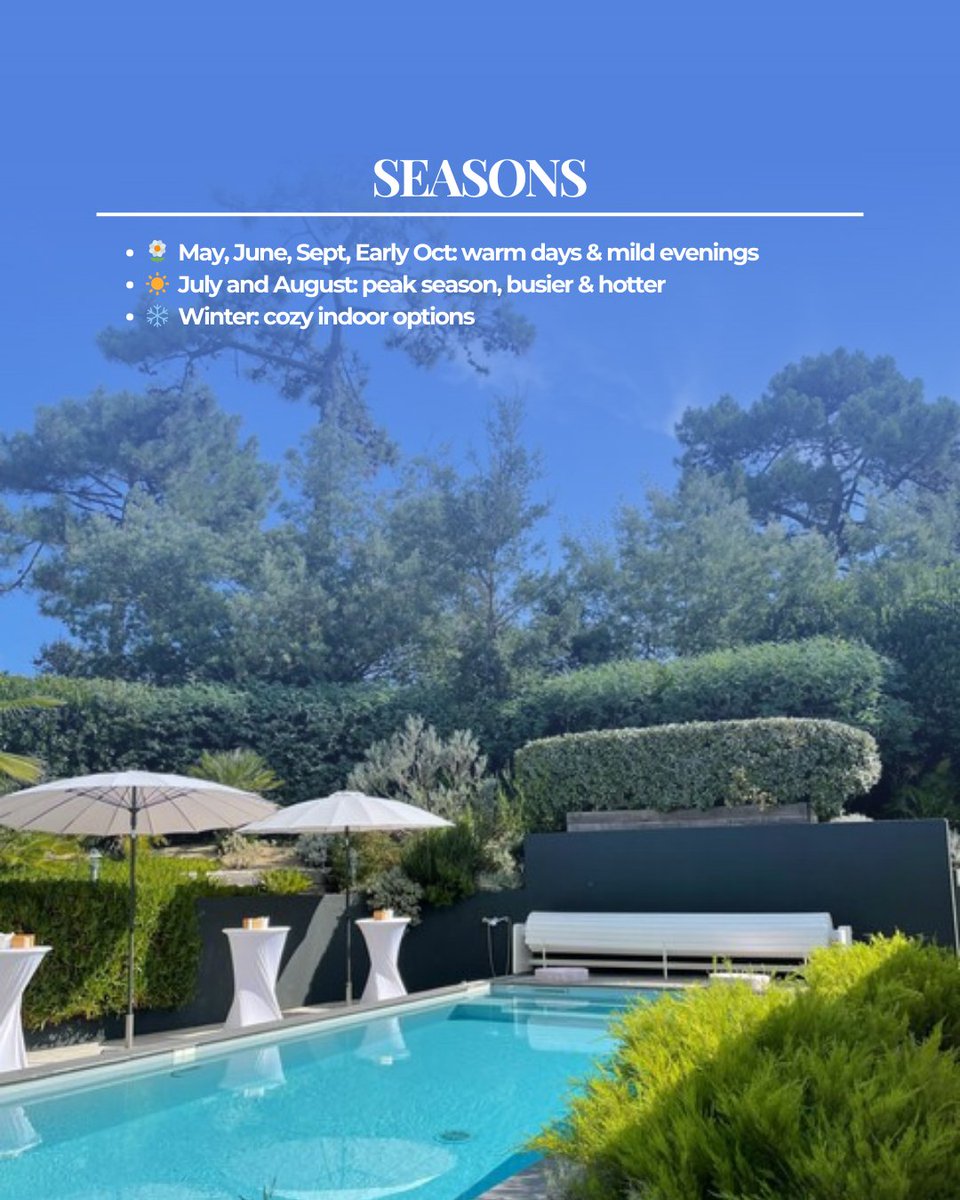 Destination Weddings tweet media