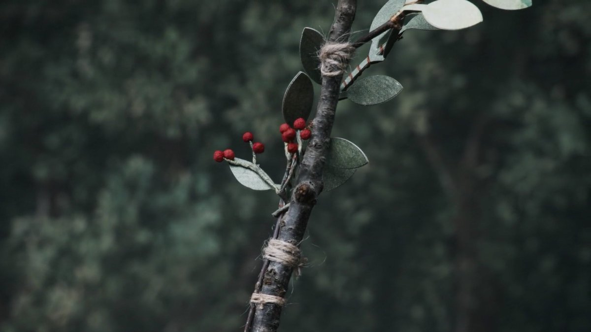 hamnet (2025) dir. chloé zhao