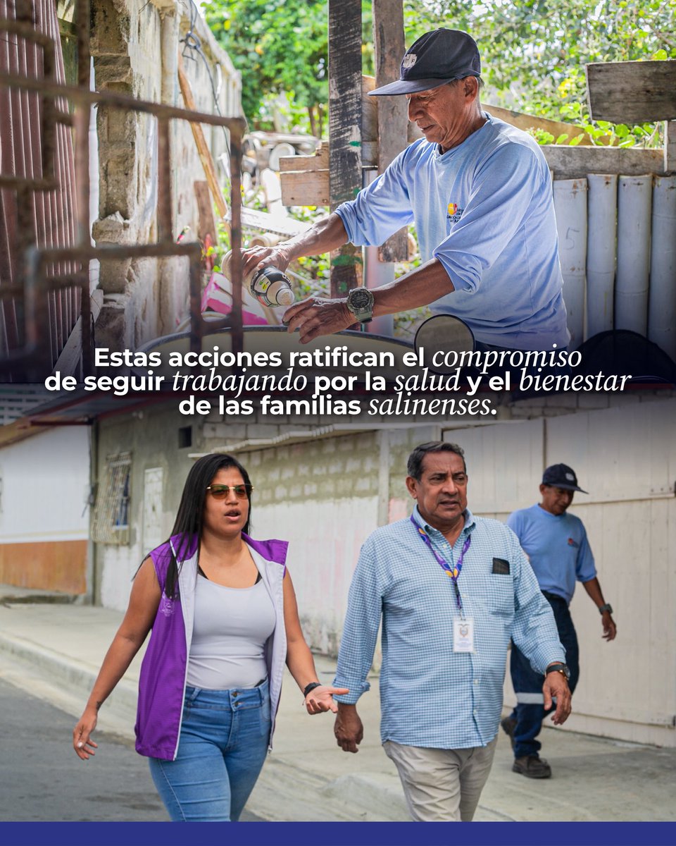 AnaLeonOk's tweet photo. ✅ Con un trabajo articulado, la Jefatura Política, en coordinación con el @msp_ecuador , la @alcaldiasalinas y las @fuerzasarmadasec, desarrollaron hoy, una minga comunitaria de prevención contra el dengue, destrucción de criaderos de mosquitos y fumigaciones. https://t.co/eUYqsG1Dvj