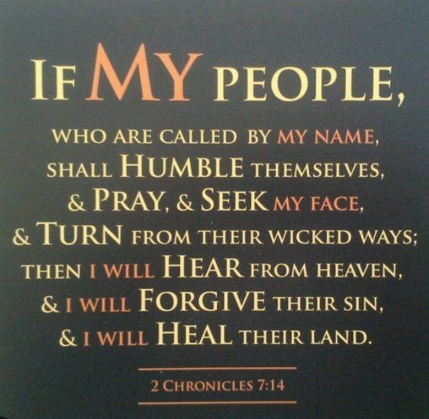 Michael59302787's tweet image. 