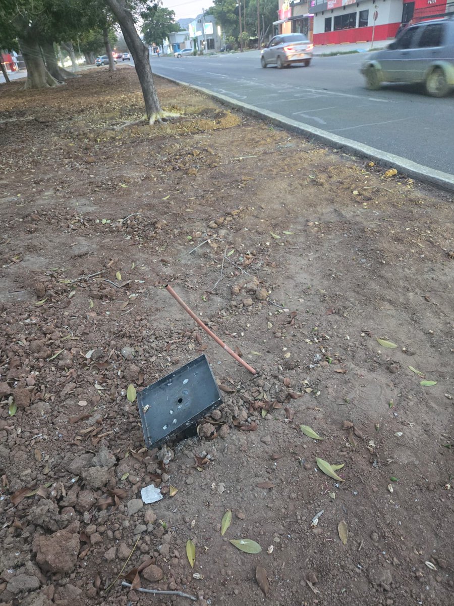 Sociedad Ambientalista de Sonora tweet media