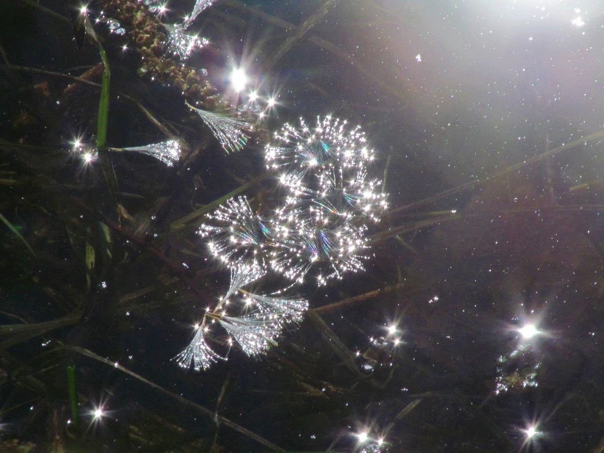 @lacrymarias (@lacrymarias) on Twitter photo 