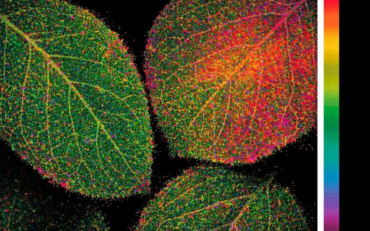 CID Bio-Science tweet media