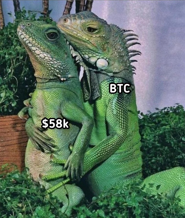 SusieBdds's tweet photo. Memes are the real leading indicator. https://t.co/qOP2HtUrwB