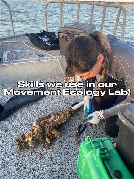 Movement Ecology Lab tweet media