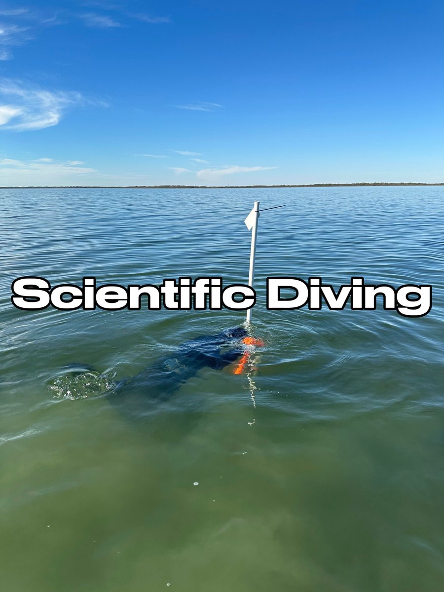 Movement Ecology Lab tweet media