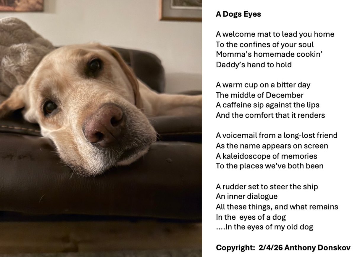 Anthony Donskov, PhD tweet media