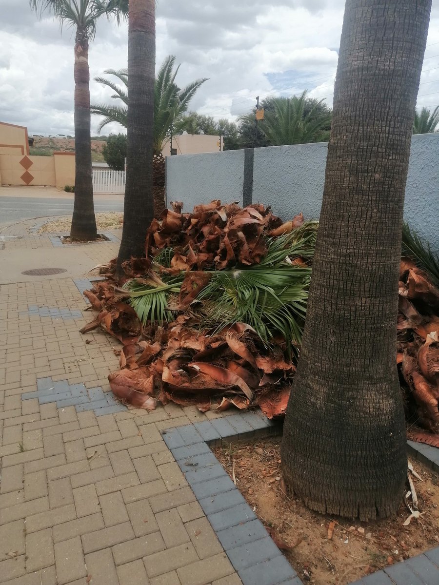 MannyR76 tweet media