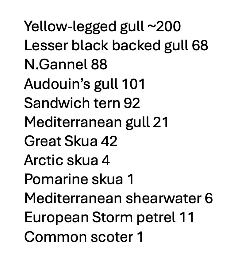 Gibraltar Birds tweet media