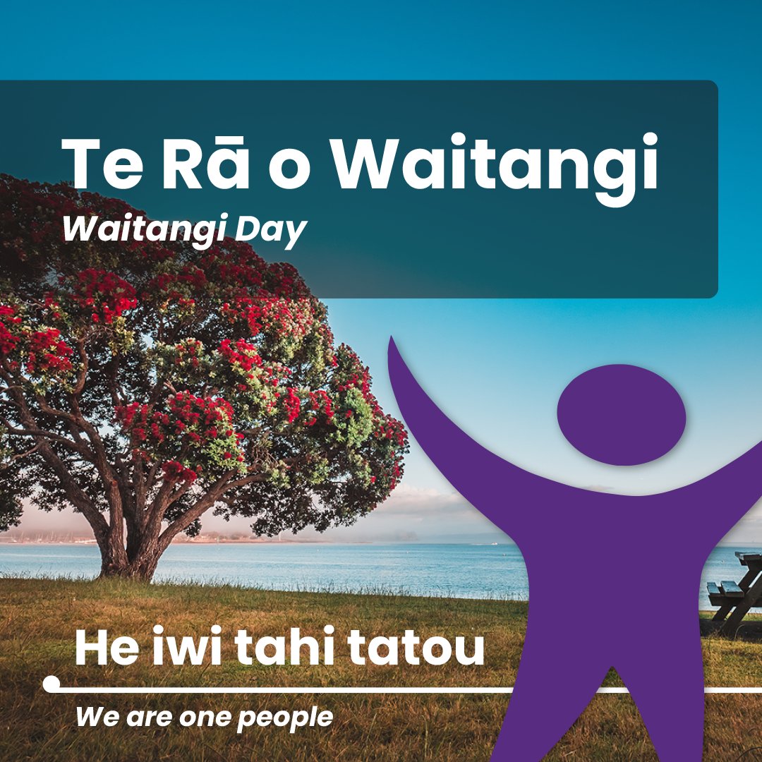 StepsWeb tweet media