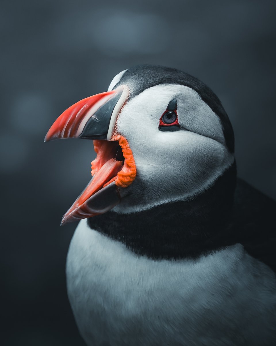 Adobe Lightroom tweet media