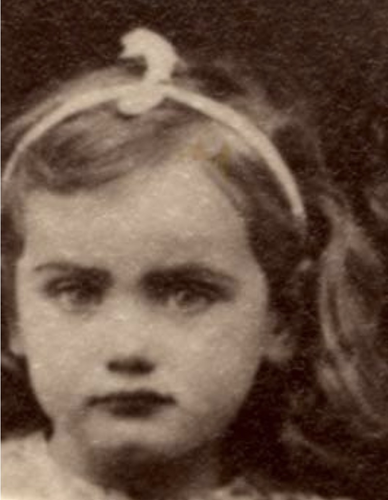 Auschwitz Memorial tweet media