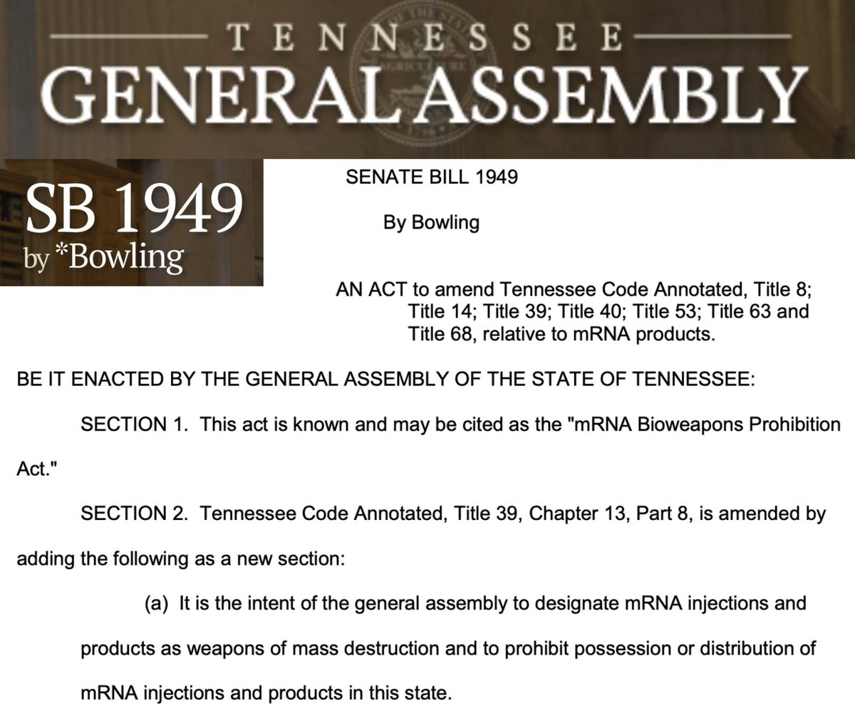🚨BREAKING: Third U.S. State Introduces Legislation Designating COVID-19 mRNA Injections as Biological Weapons of Mass Destruction.

Tennessee Senator Janice Bowling has just filed Senate Bill 1949, the “mRNA Bioweapons Prohibition Act,” prohibiting the manufacture, acquisition,