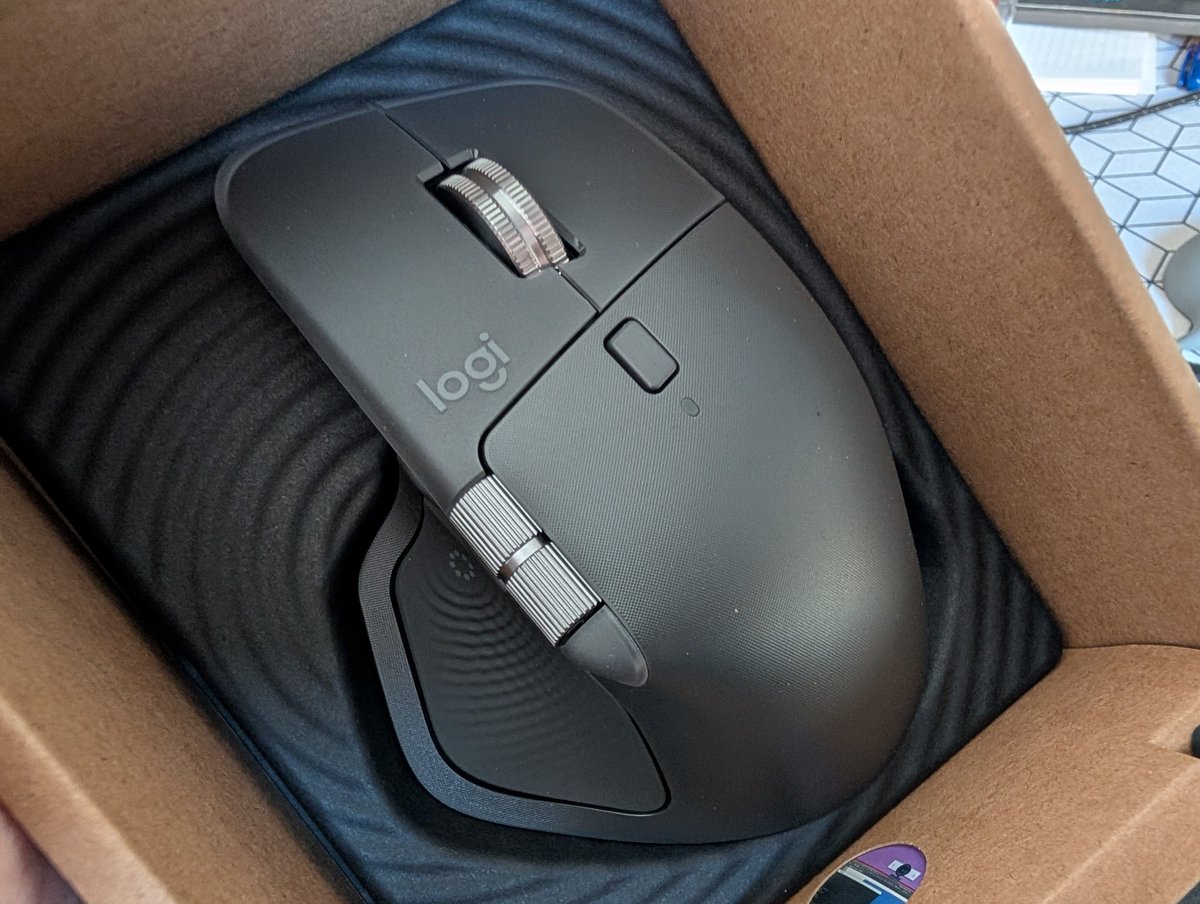 Пумбыч 🐗 tweet media