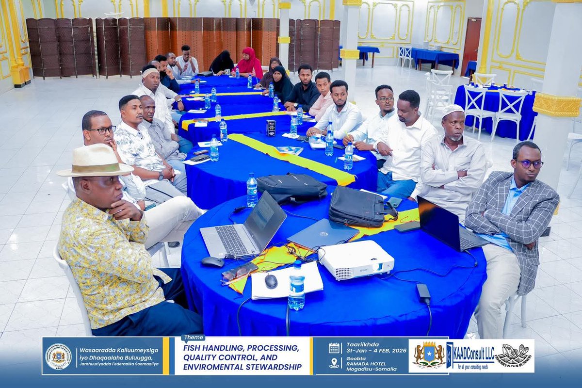 hasan_macow's tweet photo. Grateful to co-facilitate with my colleagues the Training of Trainers (ToT) program on Fish Handling, Processing, Quality Control, and Environmental Stewardship. @MFBESomalia organized the training in collaboration with KAAD–Fishtech Joint Venture and with support from SHIIP. https://t.co/R1D933JqvY