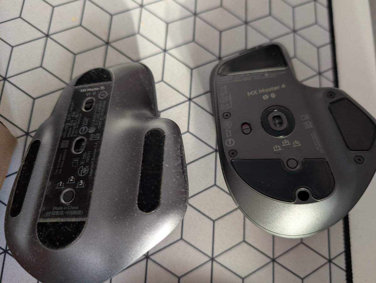 Пумбыч 🐗 tweet media