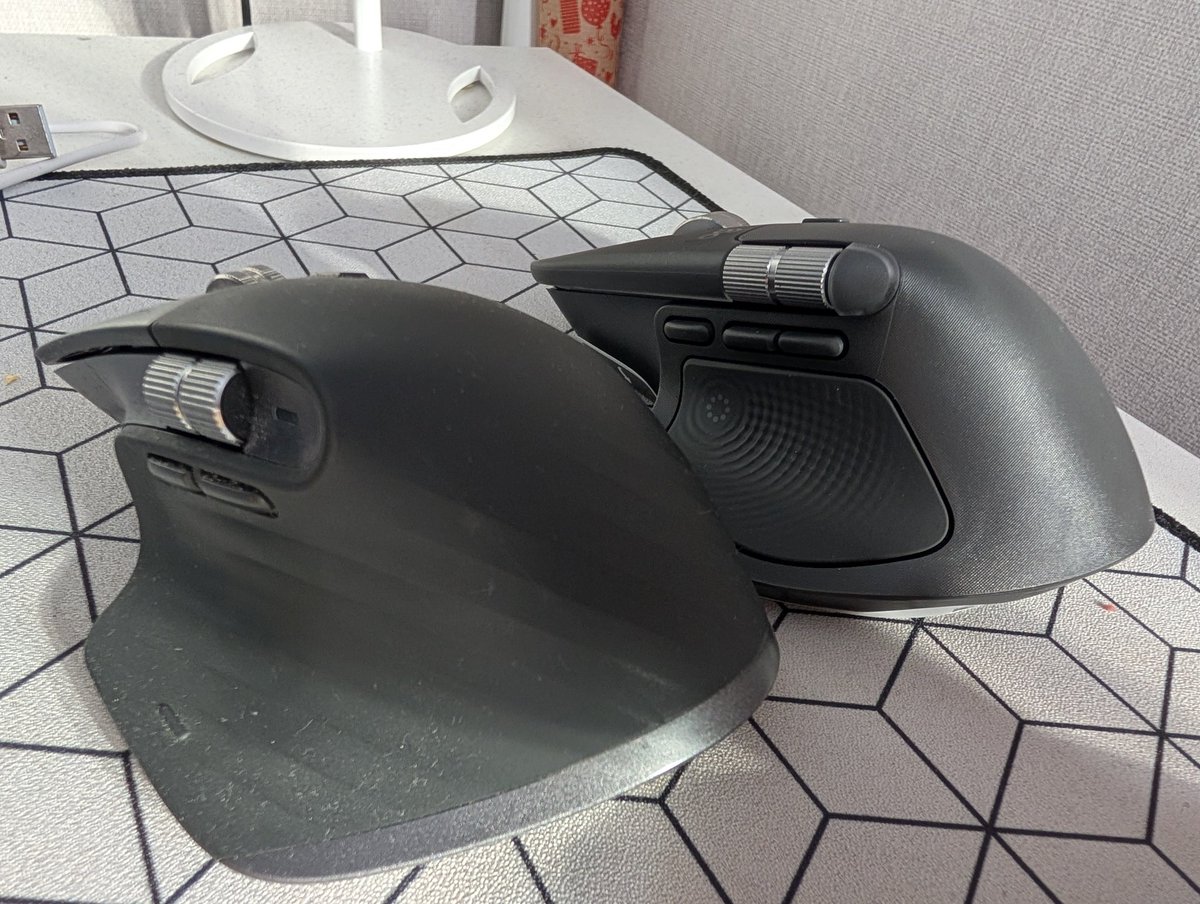 Пумбыч 🐗 tweet media