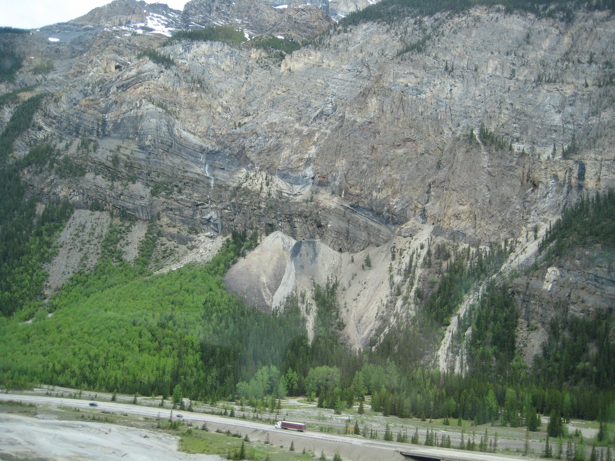 Wendy Tobitt 💙 tweet media