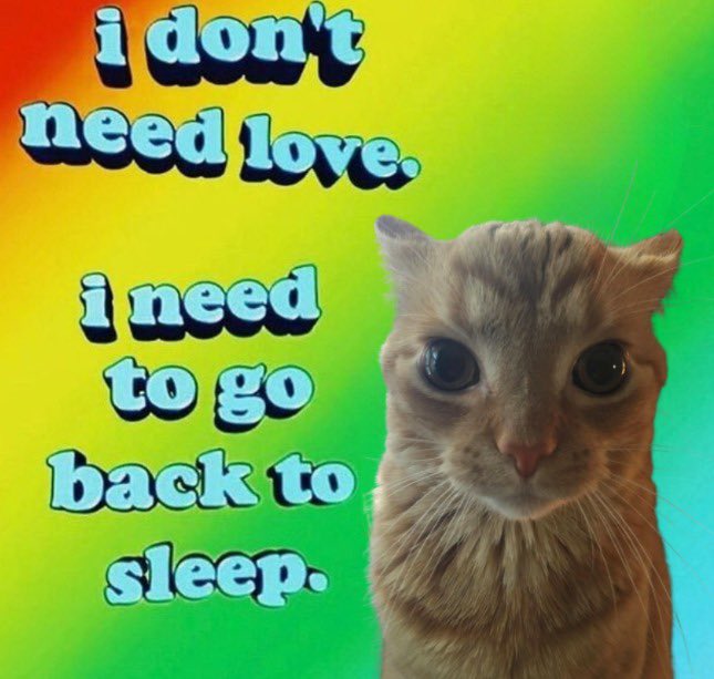 gakstercat's tweet photo. https://t.co/pMMogJqyWP