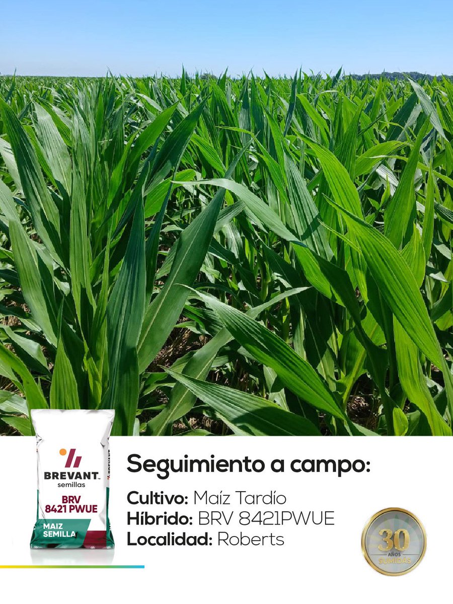 Sumidasjv tweet media