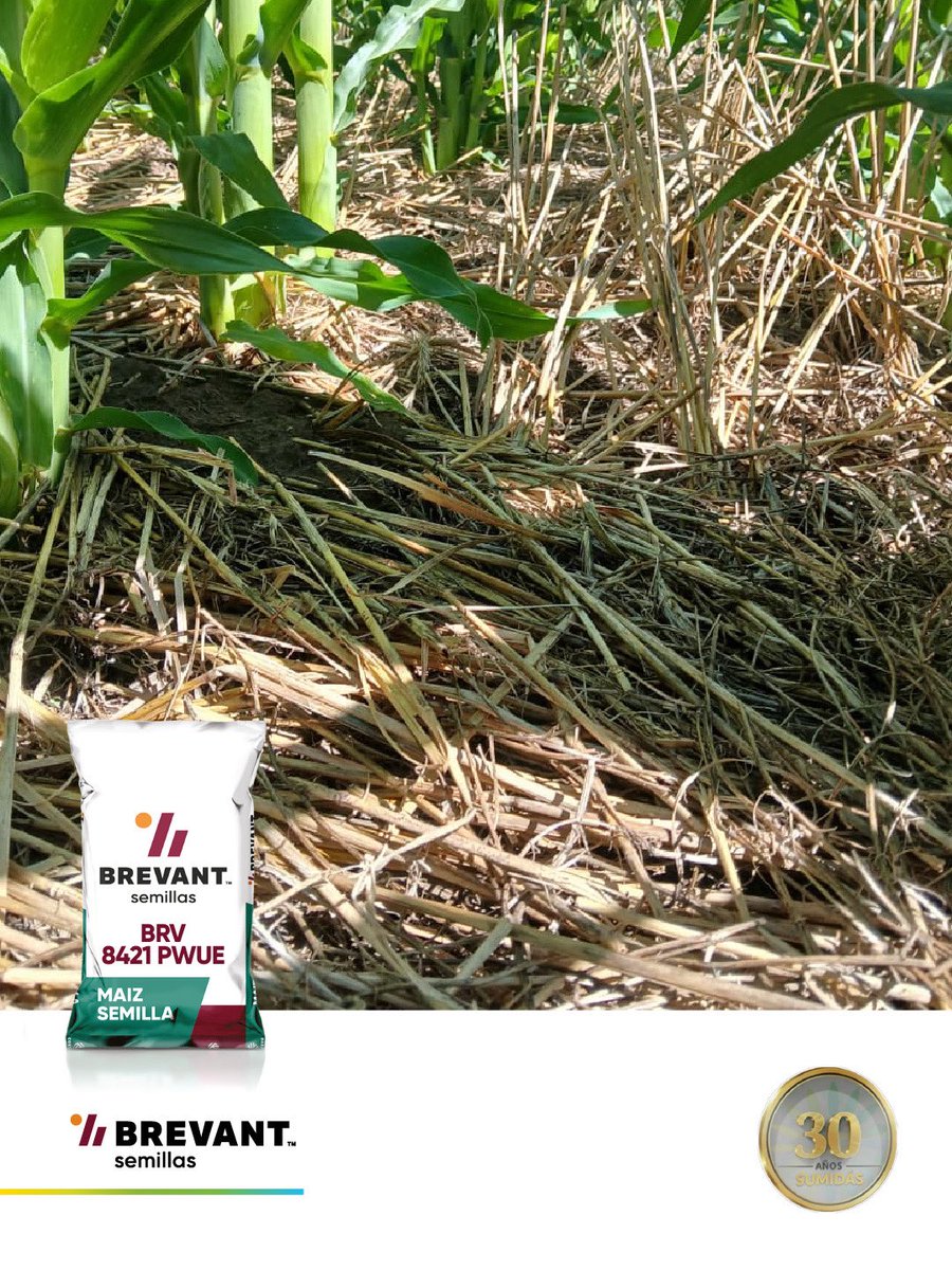 Sumidasjv tweet media