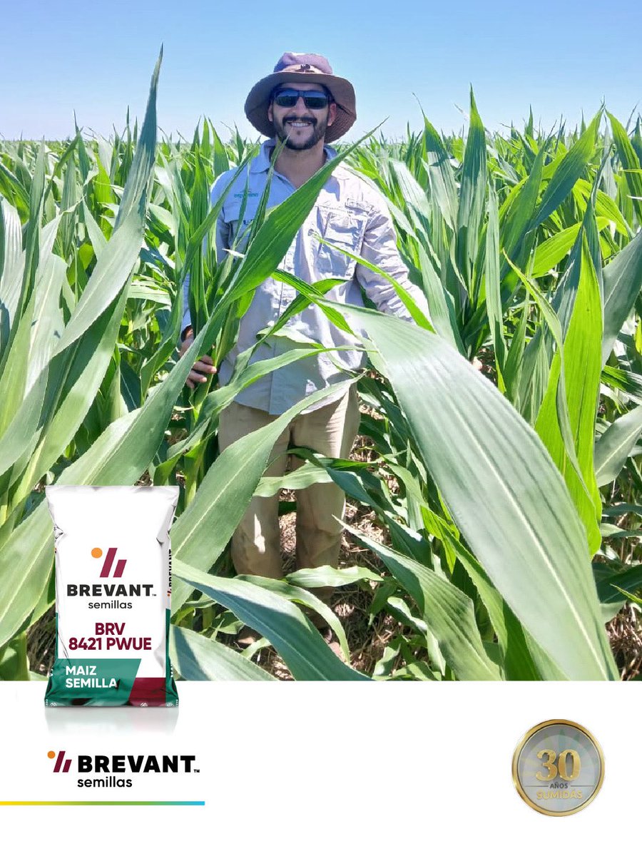 Sumidasjv tweet media