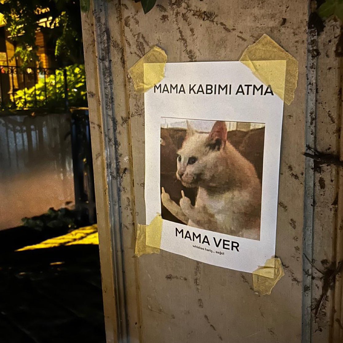 Caddebostan'da asılan afiş, sosyal medyada viral oldu.