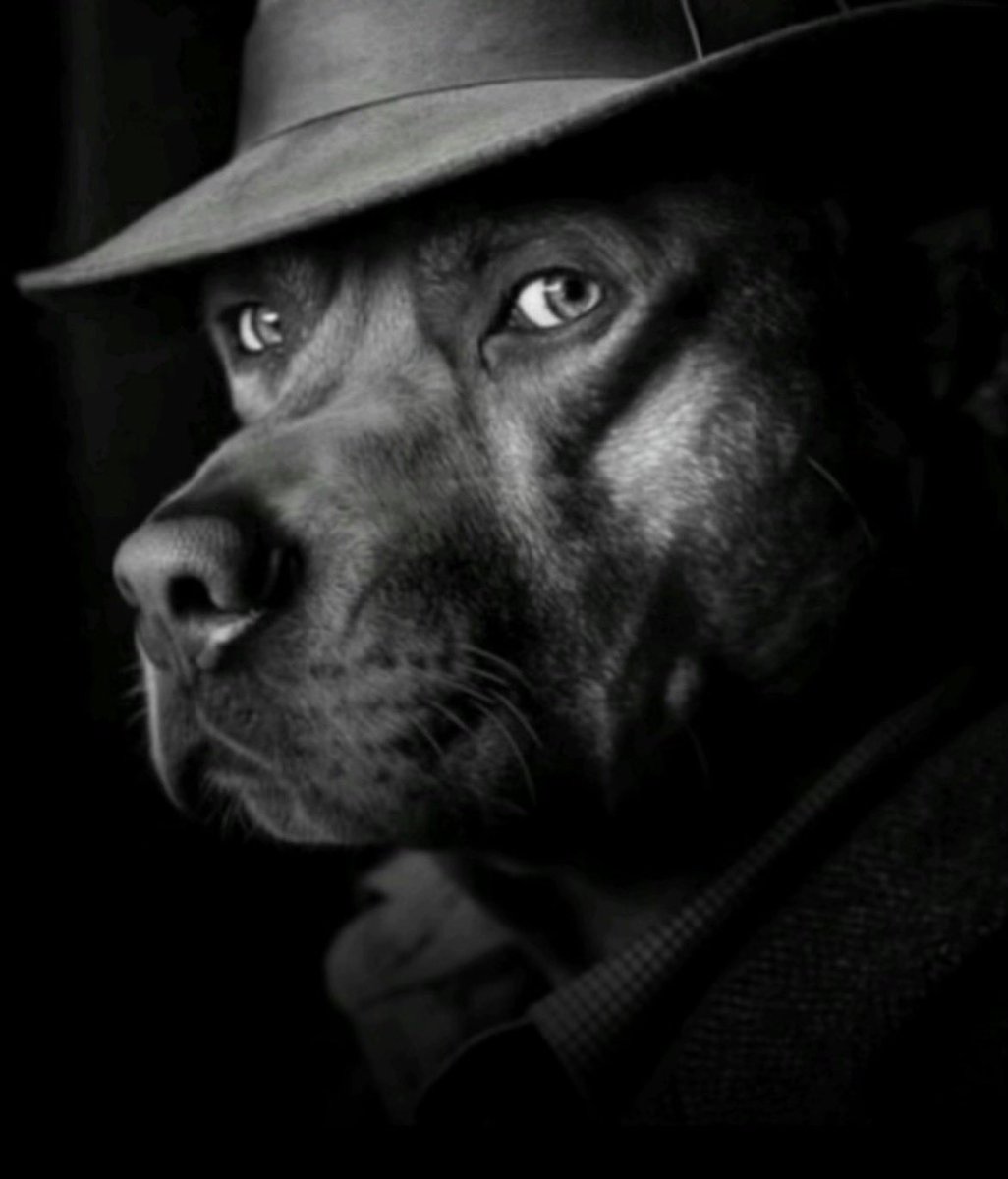 ♨️patty_cake 🚀👹メ𝟶 tweet media