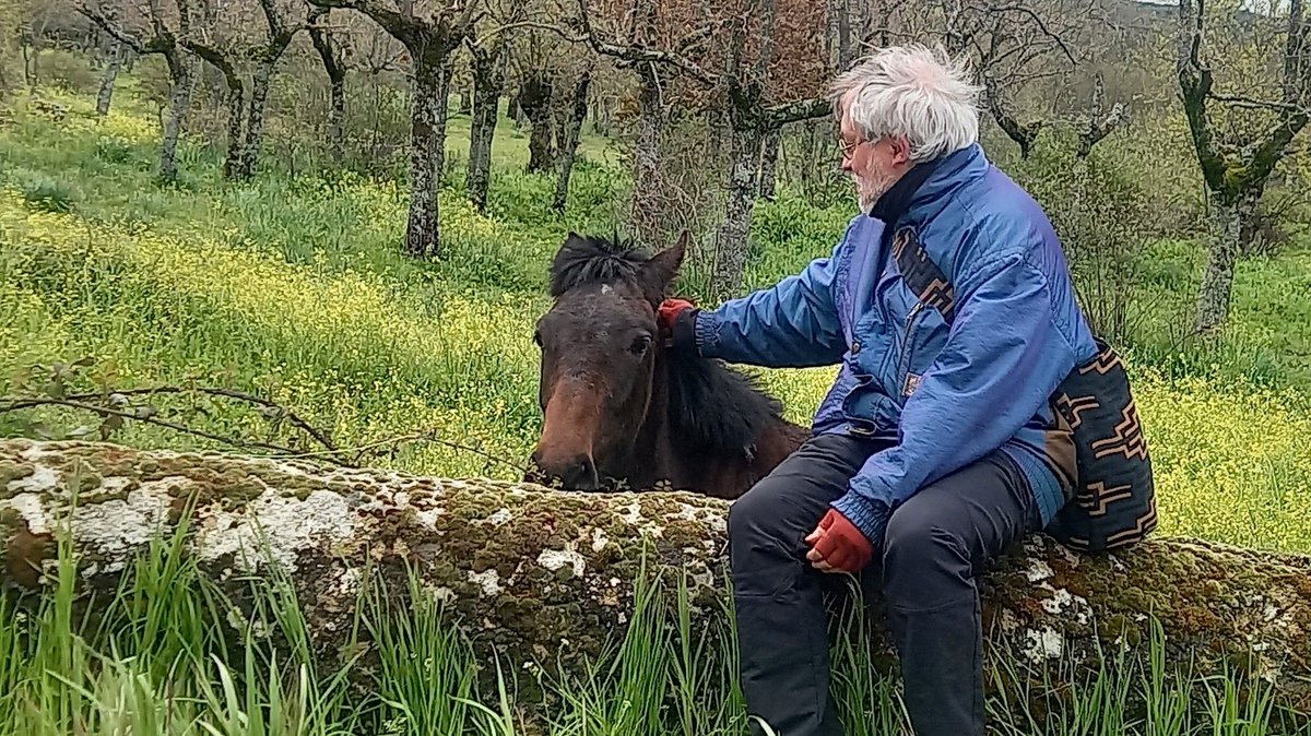 Pedro Pozas Terrados tweet media